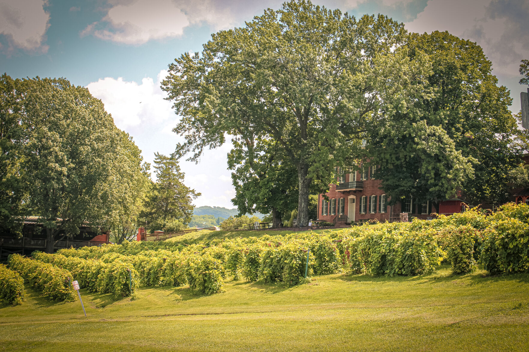 Stone Hill Winery